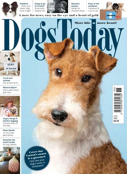 Dogs Today UK – June 2020 Cover