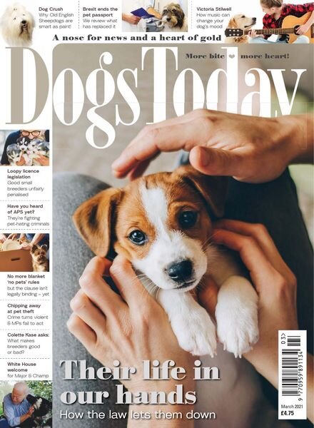 Dogs Today UK – March 2021 Cover