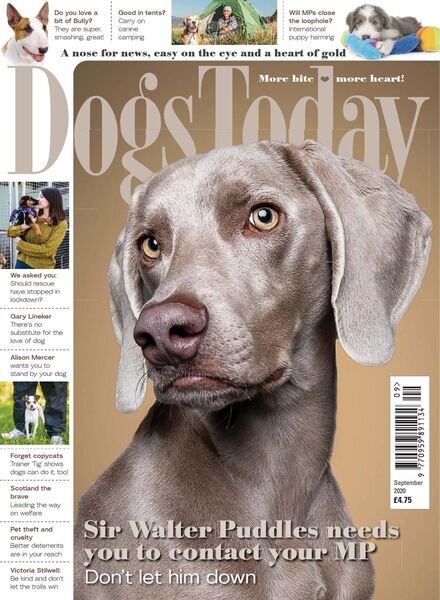 Dogs Today UK – September 2020 Cover