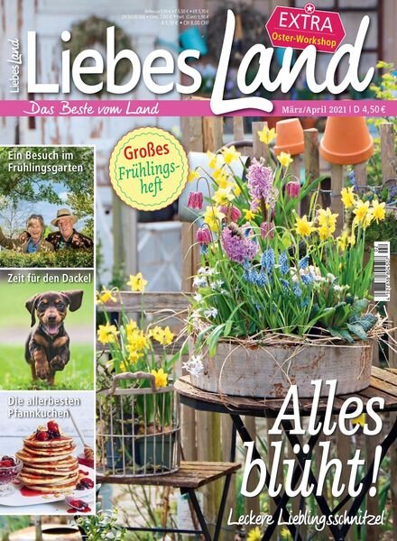Liebes Land – 17 Februar 2021 Cover