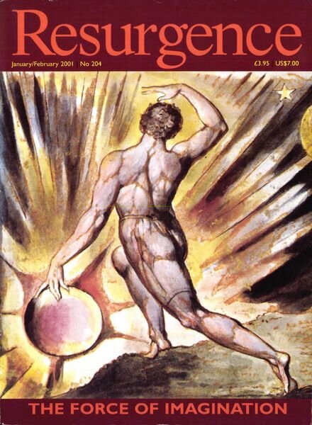 Resurgence & Ecologist – Resurgence, 204 – January – Febriary 2001 Cover