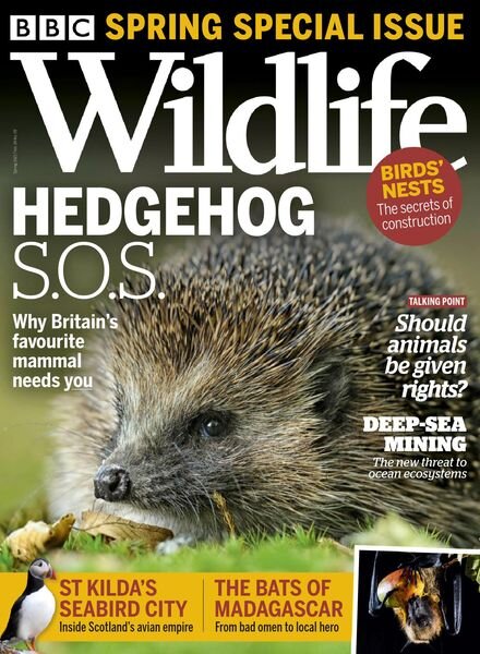 BBC Wildlife – Spring 2021 Cover