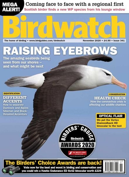 Birdwatch UK – Issue 341 – November 2020 Cover