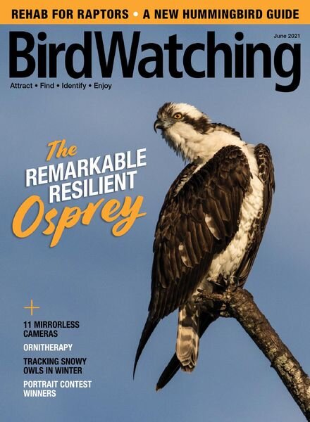 BirdWatching USA – May-June 2021 Cover