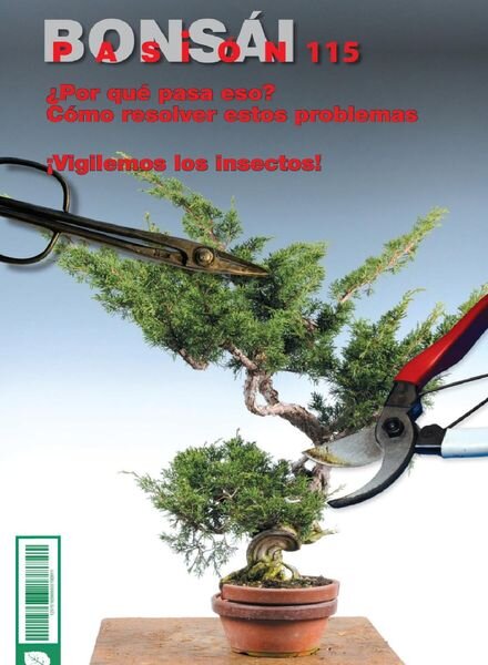 Bonsai Pasion – abril 2021 Cover