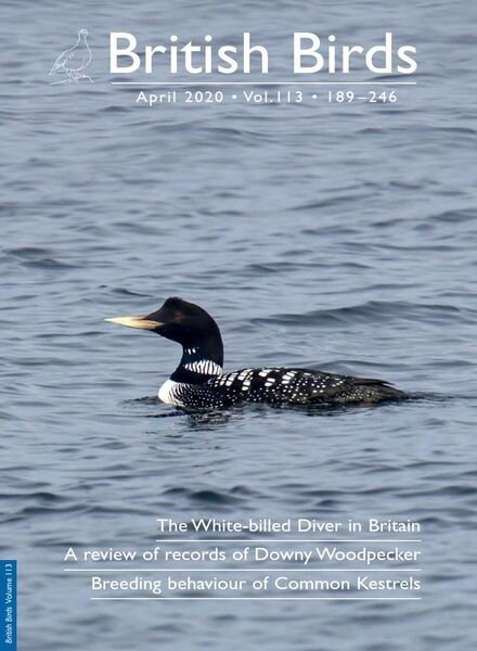 British Birds – April 2020 Cover