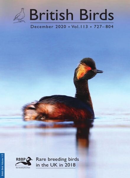 British Birds – December 2020 Cover