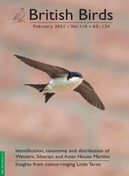 British Birds – February 2021