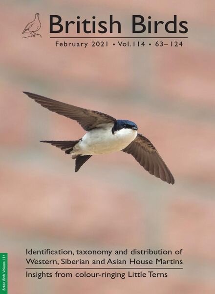 British Birds – February 2021 Cover