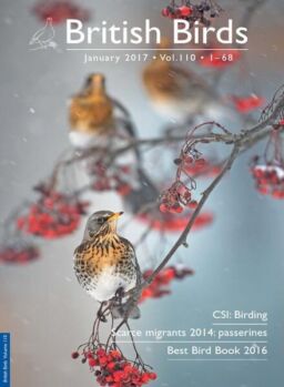 British Birds – January 2017