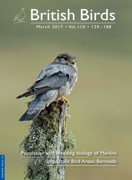 British Birds – March 2017 Cover