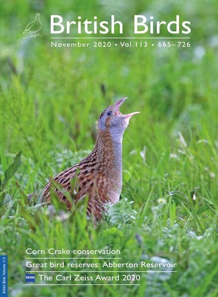 British Birds – November 2020 Cover