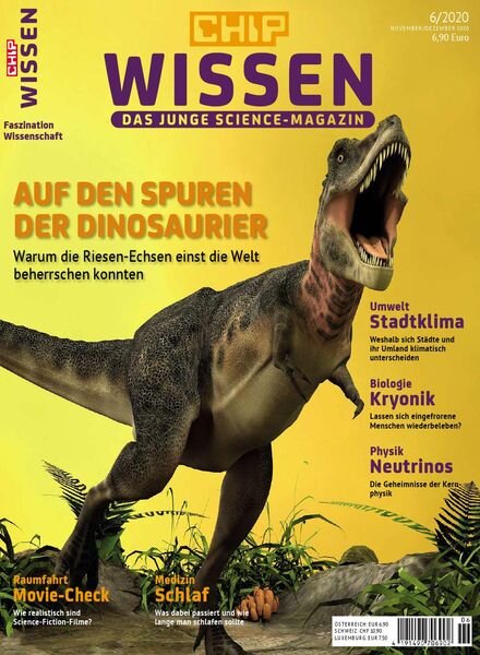 Chip Wissen – Juni 2020 Cover