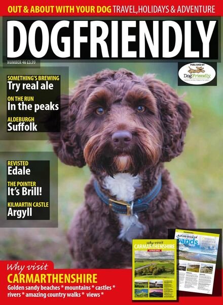 dog friendly – Issue 46 Cover