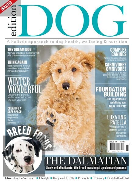 Edition Dog – Issue 14 – 29 November 2019 Cover