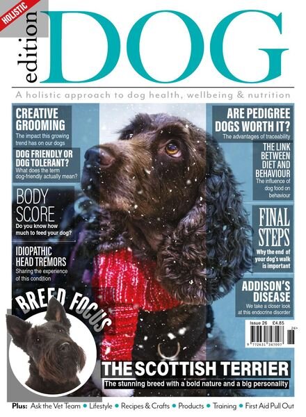Edition Dog – Issue 25 – 26 November 2020 Cover