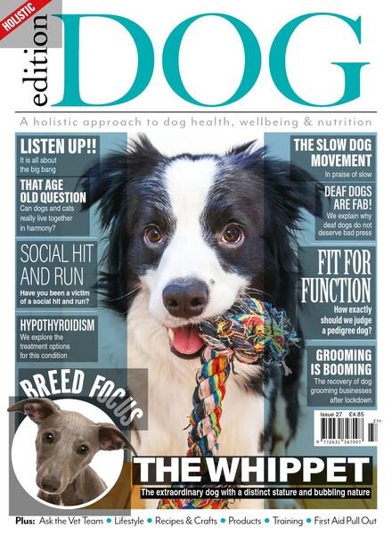 Edition Dog – Issue 26 – 24 December 2020 Cover