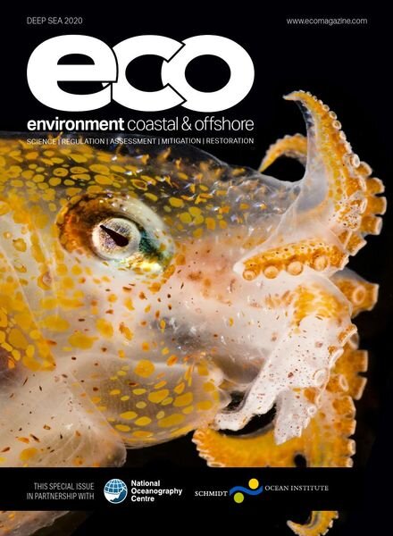 Environment Coastal & Offshore – Deep Sea 2020 Cover