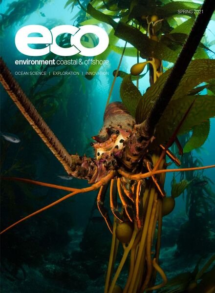 Environment Coastal & Offshore – Spring 2021 Cover