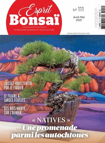 Esprit Bonsai – avril 2021 Cover