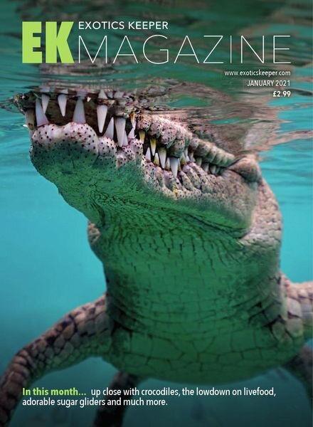 Exotics Keeper – January 2021 Cover