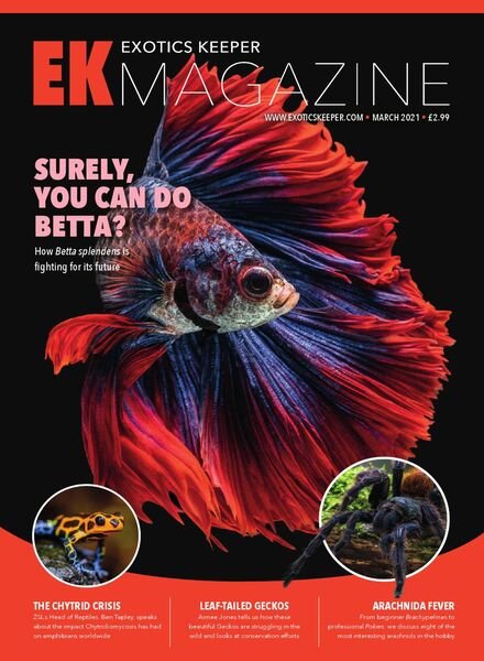 Exotics Keeper – March 2021 Cover