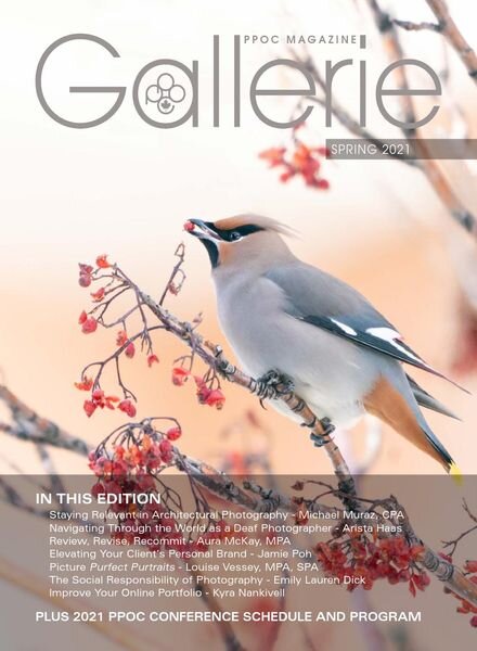 Gallerie Magazine – Spring 2021 Cover