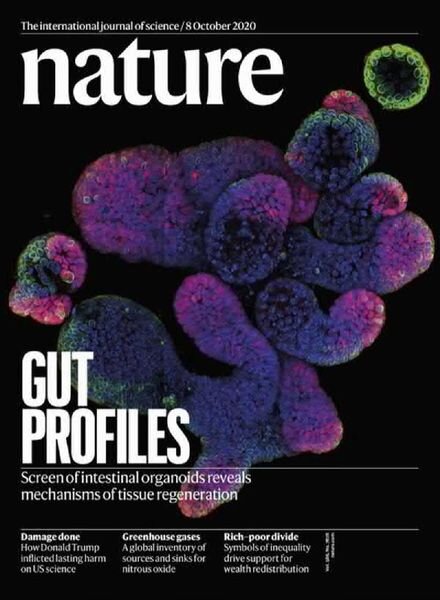 Nature – 8 October 2020 Cover