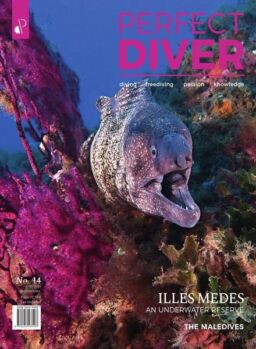 Perfect Diver – March-April 2021
