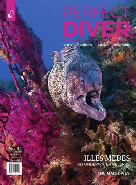 Perfect Diver – March-April 2021 Cover
