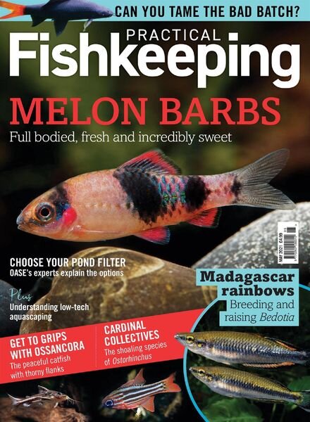 Practical Fishkeeping – May 2021 Cover