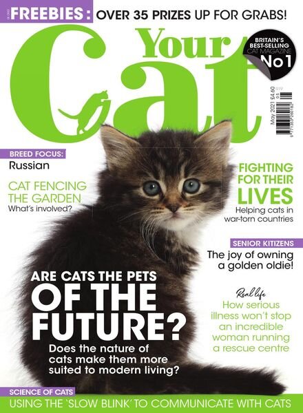 Your Cat – May 2021 Cover