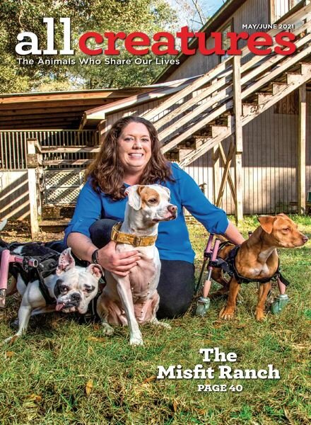 All Creatures – May 2021 Cover