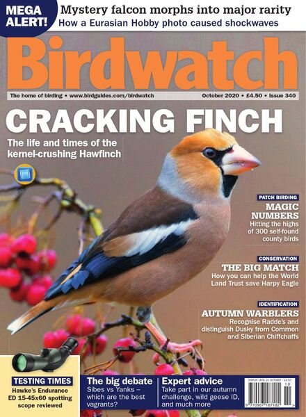 Birdwatch UK – Issue 340 – October 2020 Cover