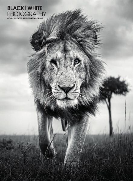 Black + White Photography – Issue 252 – May 2021 Cover