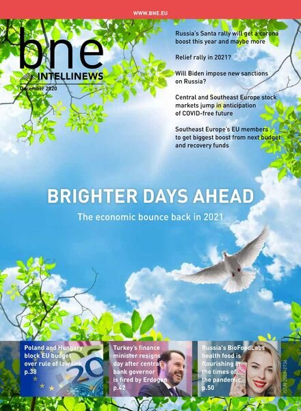 bne IntelliNews – December 2020 Cover