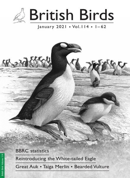 British Birds – January 2021 Cover