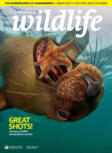 Canadian Wildlife – January February 2021 Cover