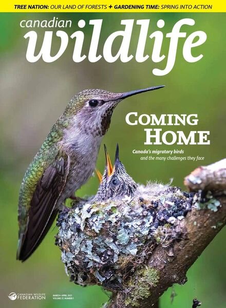 Canadian Wildlife – March April 2021 Cover