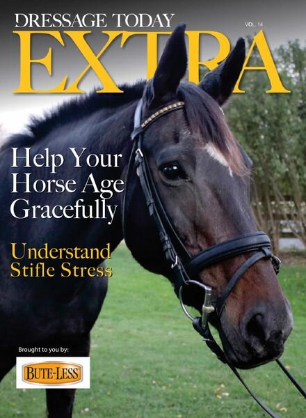 Dressage Today – November 2020 Cover