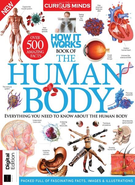 How it Works Book of The Human Body – April 2021 Cover