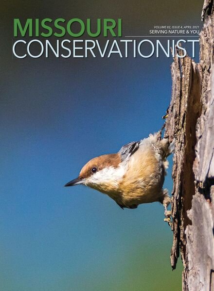 Missouri Conservationist – April 2021 Cover