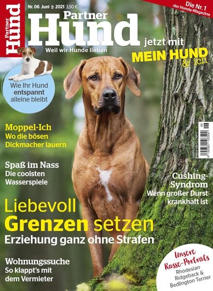 Partner Hund – Juni 2021 Cover