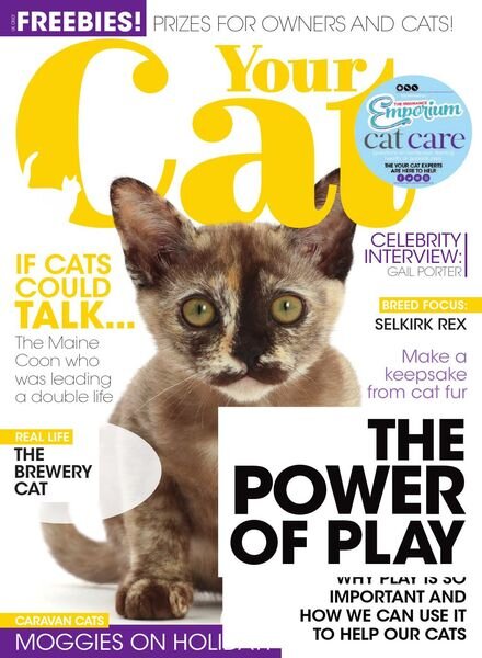 Your Cat – June 2021 Cover