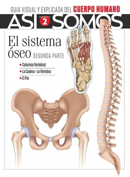 Asi Somos – El cuerpo humano – abril 2021 Cover