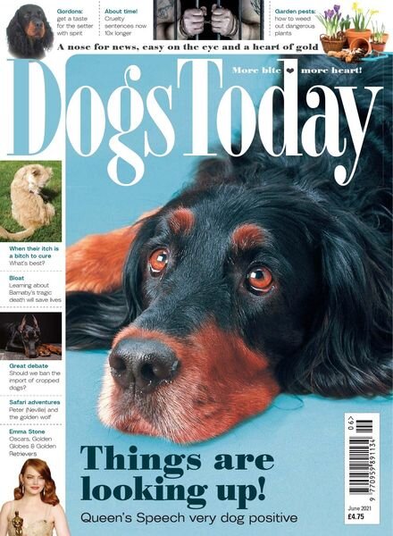Dogs Today UK – June 2021 Cover