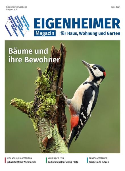Eigenheimer aktuell – Juni 2021 Cover