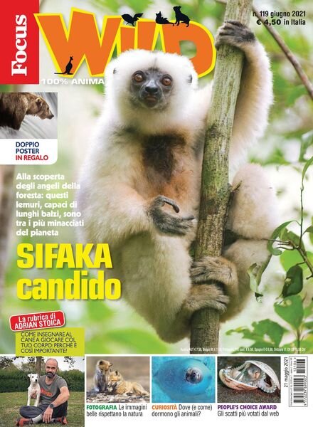 Focus Wild – giugno 2021 Cover