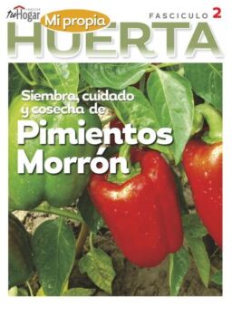 La Huerta en Casa – abril 2021