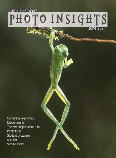 Photo Insights – June 2021 Cover